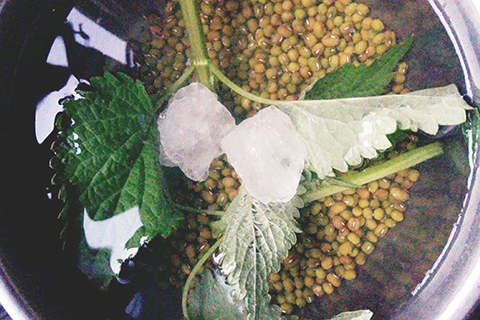 ◎ 薄荷綠豆湯的材料,準備就緒。(徐招治 攝)