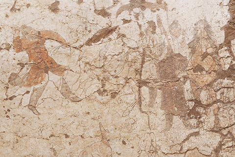 ◎ 資料圖為唐康善達墓墓道西壁壁畫胡人馴馬圖。(中新社發 陝西省考古研究院 供圖)