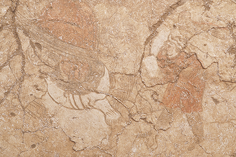 ◎ 資料圖為唐康善達墓墓道東壁壁畫胡人牽駝圖。(中新社發 陝西省考古研究院 供圖)