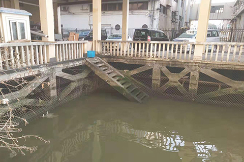 ◎ 大量生活污水排入內港,致水質渾濁。