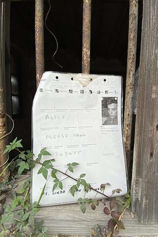 何故尋人會尋到這裡來