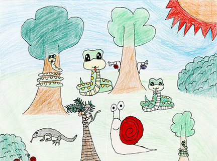 爬行動物 福建學校 二年級 許明辰