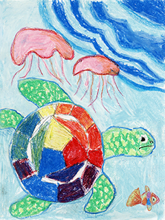 穿上彩衣的烏龜 培道中學(南灣分校) 二年級 林穎妍