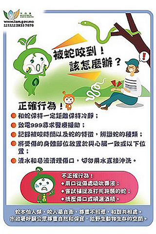 ◎ 遇見蛇及被咬之處理法。