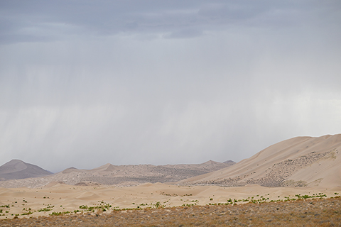 ◎ 七月三十日拍攝的雨中巴丹吉林沙漠。(新華社記者貝赫 攝)
