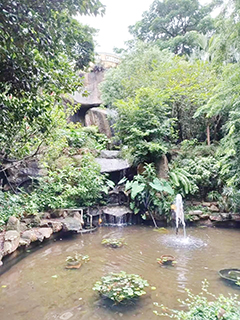 眺望台後的小瀑布