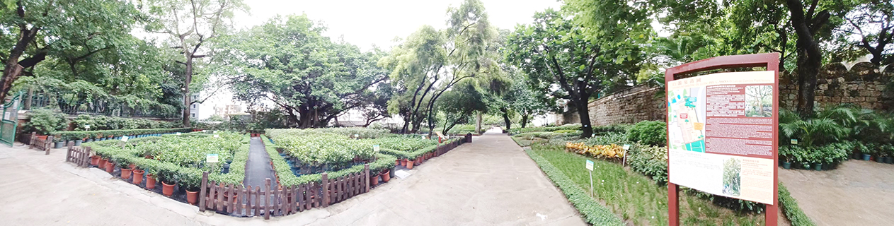 白鴿巢公園內的苗圃