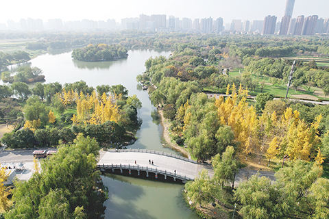 ◎ 十一月二十日,陝西西安,大明宮國家遺址公園冬日景色如畫。(無人機照片) (中新社記者張遠 攝)