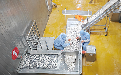 2024年12月25日,河南省鄭州市一速凍企業的水餃生產線。(中新社記者 賈天勇 攝)