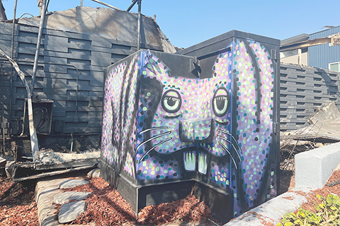 ◎ 當地時間一月十一日,美國加利福尼亞州洛杉磯地區近日爆發的「帕利塞茲大火」和「伊頓大火」等多場野火仍在燃燒,多家博物館與歷史遺址因受火災威脅而臨時關閉。其中,位於洛杉磯郡阿爾塔迪納地區、獲吉尼斯世界紀錄認證擁有最多兔子主題藏品的「兔子博物館」被徹底燒毀,逾四萬六千件藏品化為灰燼。圖為「兔子博物館」廢墟上殘存的彩繪。(中新社記者 張朔 攝)