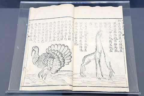 《坤輿圖說二卷》清康熙刻本。(中新社記者 王笈 攝)