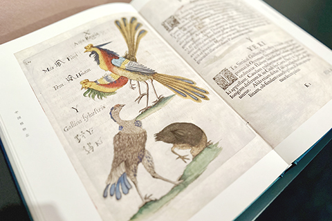 以上海圖書館藏1656年版《中國植物志》為底本影印出版的書籍。(中新社記者 王笈 攝)