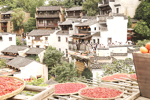 村莊遊客絡繹不絕。(熊錦陽 攝)