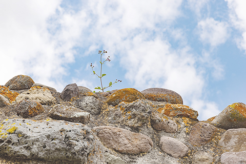 ◎ 這是九月十七日在墨西哥瓦哈卡州亞古爾遺址拍攝的一景。