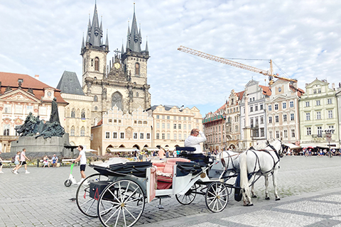 老城廣場行進中的馬車