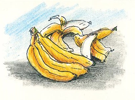 曹長雄老師 謎語圖