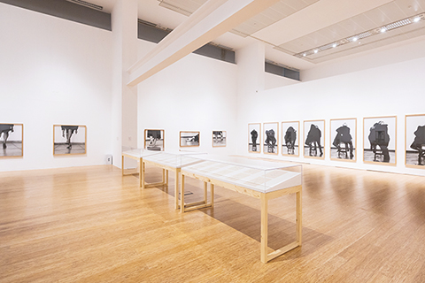 ◎ 海倫娜.阿爾梅達:我在這裡——在場與迴響。