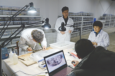 ◎ 文保人員在江西南昌西漢海昏侯墓遺址文保用房內對出土的竹簡進行剝離(二0一五年十一月廿四日攝)。(新華社記者萬象 攝)