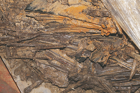 ◎ 海昏侯墓出土的竹簡在剝離前的樣子(資料照片)。(新華社發 江西省文物考古研究院供圖)