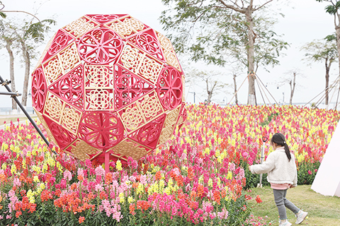 ◎ 橫琴花海長廊及周邊區域絢麗花海。