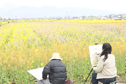 漢中市繪畫愛好者在彩色油菜花田旁寫生。(李一璠 攝)
