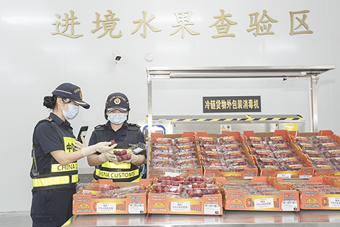 ◎ 港珠澳大橋海關關員對進境水果進行監管。(林昌鋒 攝)