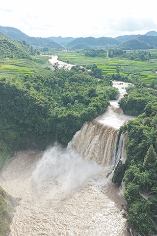 ◎ 八月五日拍攝的九龍瀑佈景觀(無人機照片)。受連續強降雨影響,雲南省曲靖市羅平縣的九龍瀑布群進入豐水期,蔚為壯觀。(新華社發 毛虹 攝)