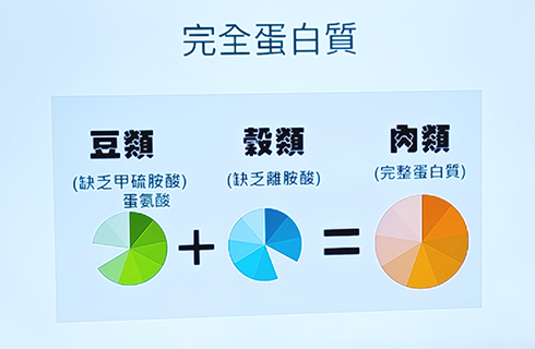 講座上拍攝的圖解完全蛋白質的成份